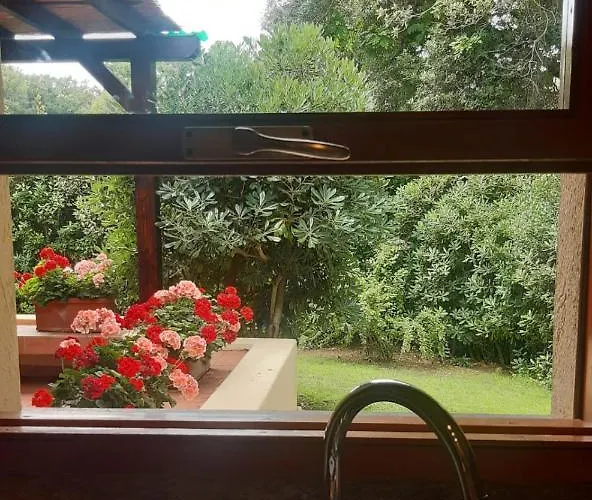 Elisa * 푼타알라