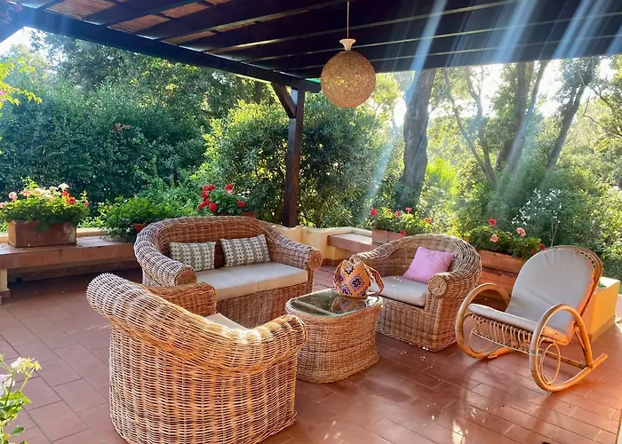 Elisa * 푼타알라